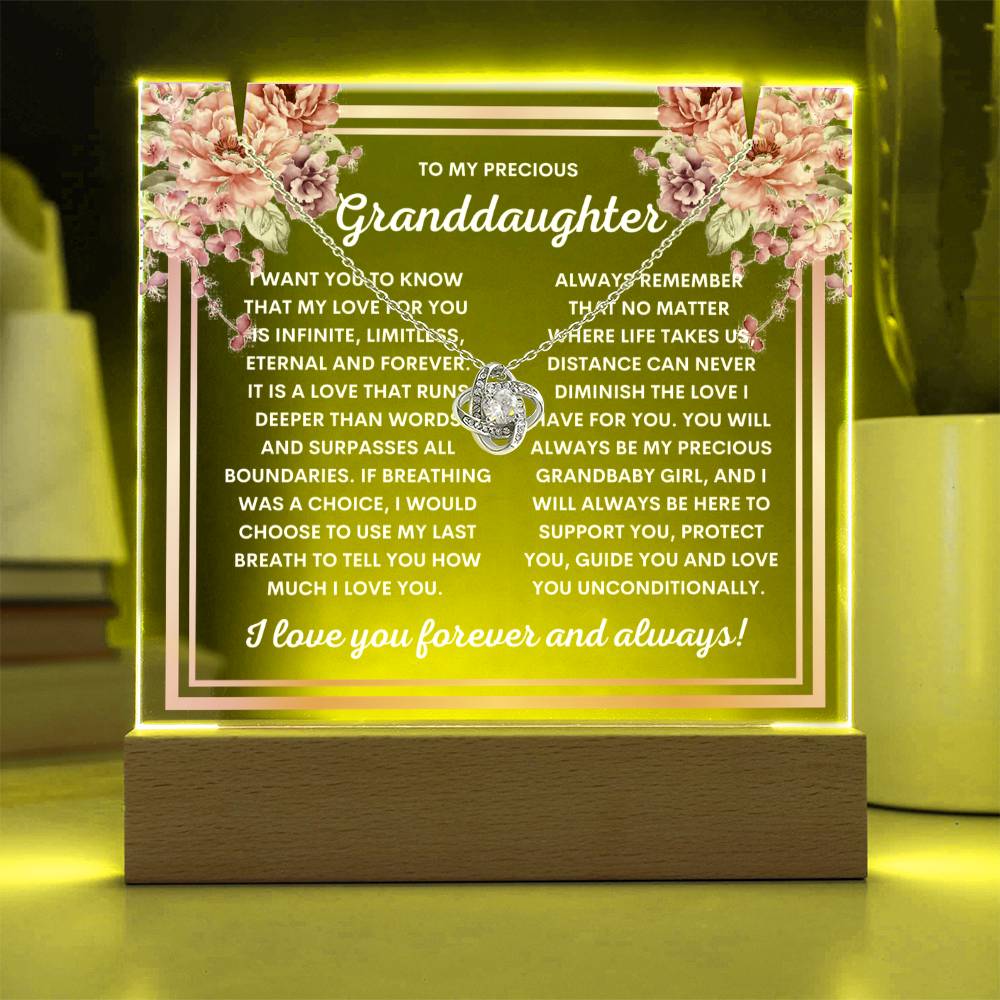 JGF Jewelry Gifts For Family To My Beautiful Granddaughter Necklace and Acrylic Plaque